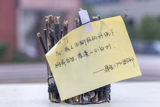 創意制作，一起開開腦洞